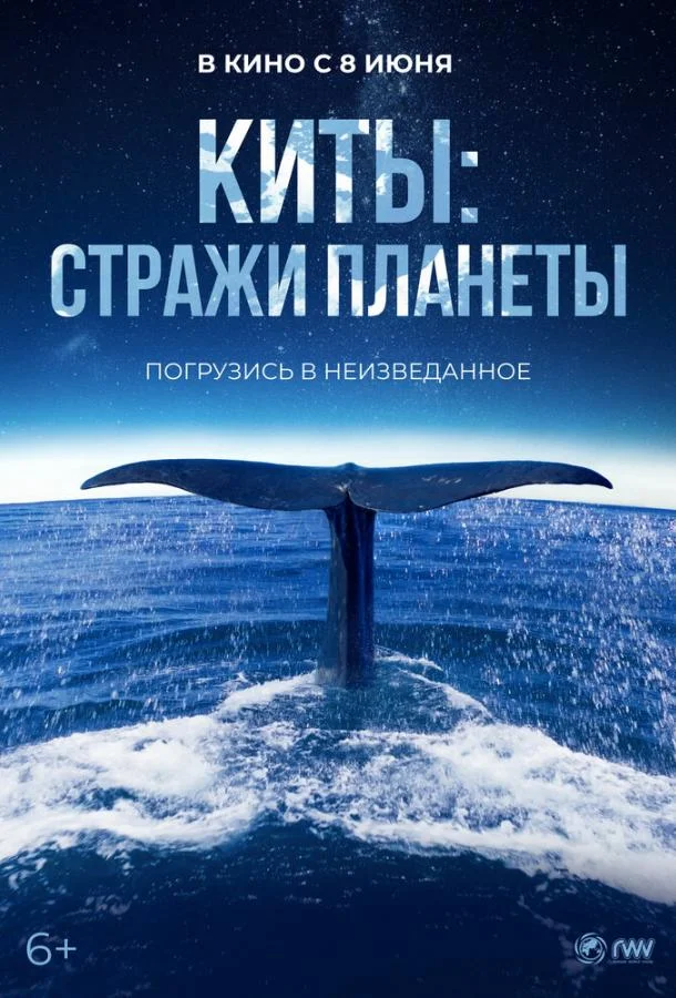 Киты: Стражи планеты Фильм2023смотреть онлайн бесплатно
